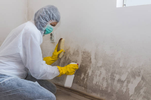 Best Mold Removal Process  in Snyder, TX