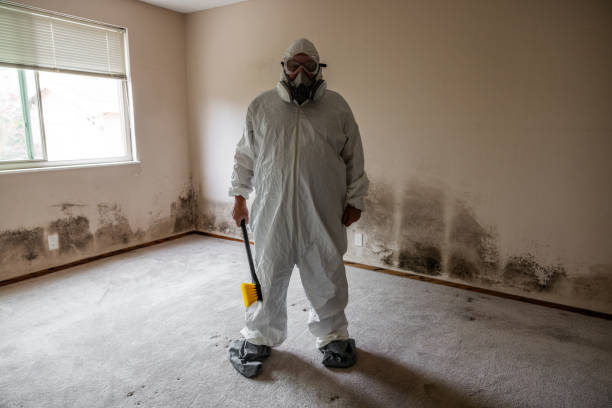 Best Best Mold Removal Companies  in Snyder, TX