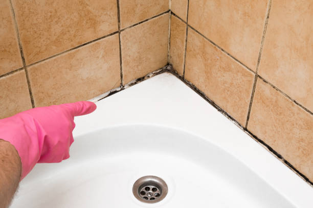 Best Residential Mold Removal  in Snyder, TX